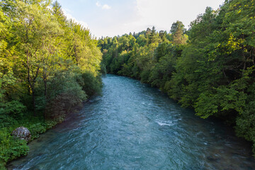 Fototapeta na wymiar River in a forest. Beautiful green nature. Blue sunny sky.