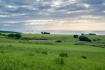 Green coast of Cantabria, northern Spain, at sunset