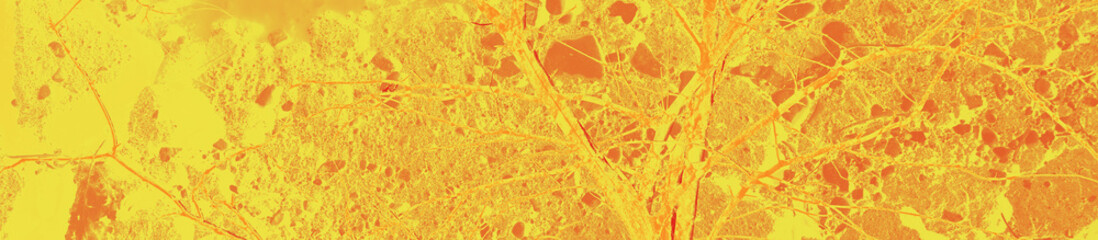 abstract yellow, orange and red colors background for design