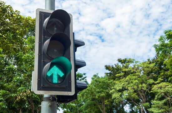 Traffic light showing green go straight arrow with sky and tree