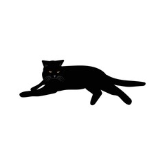  Black cat silhouette, Halloween  cat isolated on white background.  Vector illustration.