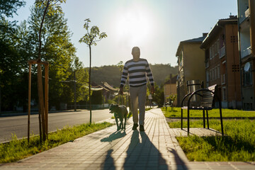 Full length of adult caucasian man walking his dog american pit bull terrier in sunny day against...