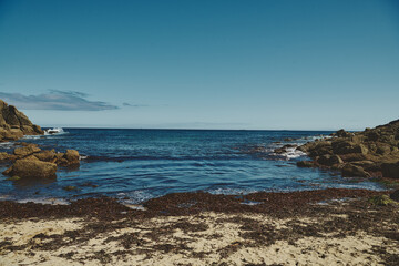 beach and rocks
