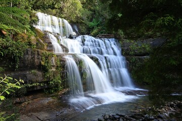Fototapeta na wymiar liffey falls waterfall in tasmania