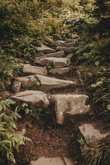 Obraz premium Rocky mountain path. Trekking trail
