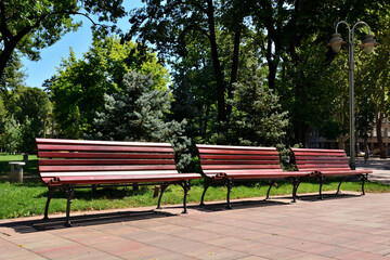Three empty wooden benches without people in a beautiful city park on a sunny summer day