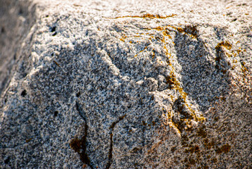 Close up of a sea defence rock off of the coast of Herne Bay, Neptune's arm