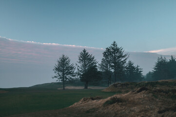 Trees in mist on Bandon Dunes Golf Course