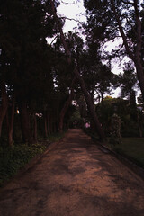 Obraz premium park at dusk