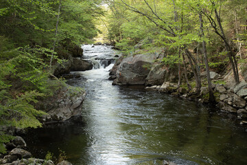 Blackwater River, Webster, NH