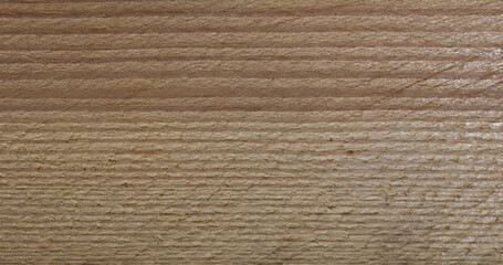 texture of natural wood light brown close up