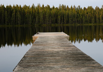 wooden dock in lake water near forest in summer - obrazy, fototapety, plakaty