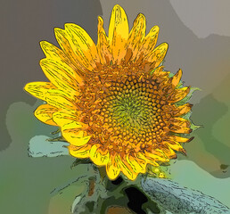 Stylized Sunflower 
 