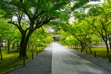 Obraz premium 京都 新緑の季節の南禅寺