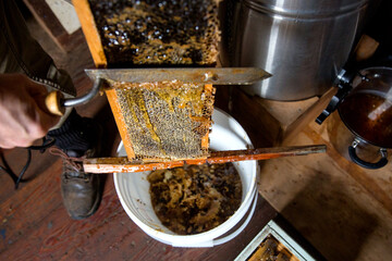 The process of honey extraction at a small beekeeping farm in Mendocino, California.
