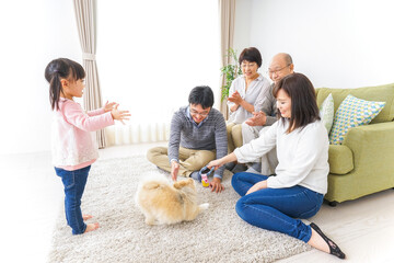 家族で犬と遊ぶ幸せな三世代ファミリー