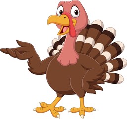 Cartoon turkey presenting on white background