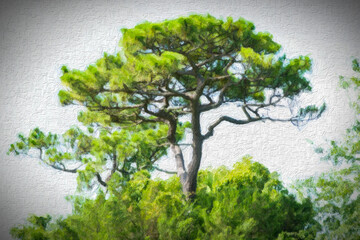 Stylized Tree