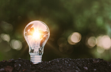 Light bulb glowing in soil as idea or energy concept, eco, green power, save energy