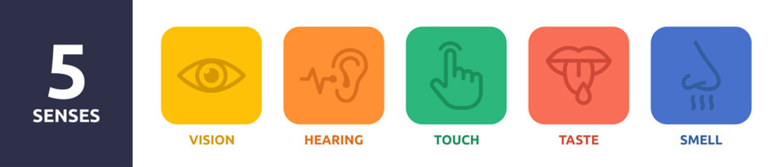 Five senses icons. 5 senses symbols set.