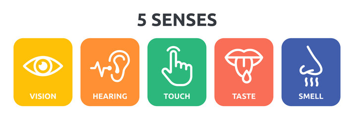 5 senses icon set. Containing vision, hearing, touch, taste and smell icon. - obrazy, fototapety, plakaty