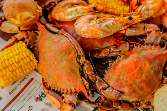 Boiled Crabs and Shrimp Fresh from the Louisiana Bayou