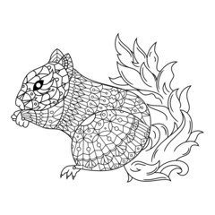 Squirrel Drawn in Doodle Style