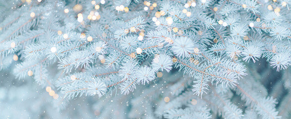 Long banner of white snowy Christmas tree background outdoor, lights bokeh around, and snow...