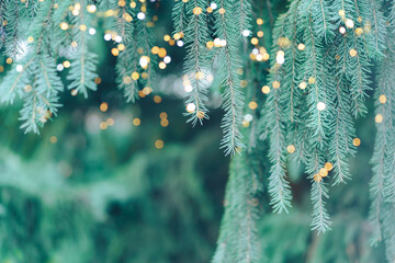 Blue Christmas tree background with bokeh of garland.