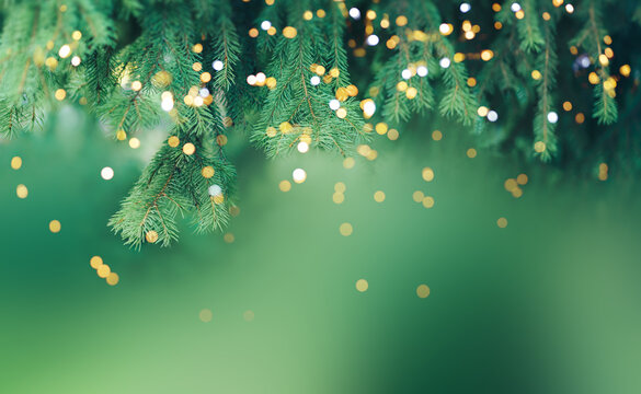 Christmas tree branch with garland in front of green background.