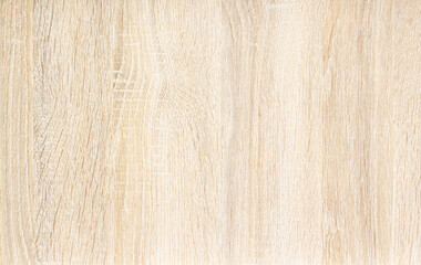 Seamless texture wood old oak or modern wood texture