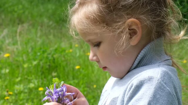 Little girl smelling meadow flowers. Day dreaming child enjoying nature outdoors. 