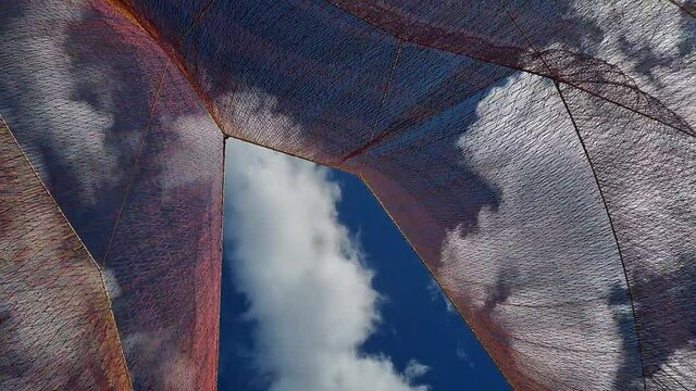 Dreamy fabric against the sky.