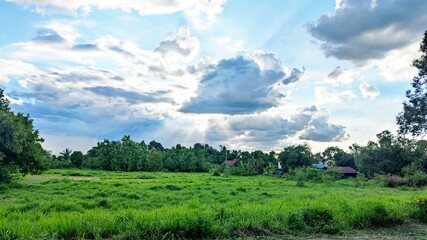 field and sky