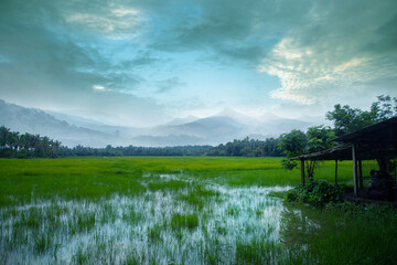 An old small hut in a grass field, Stripe of forest and mountains between a cloudy sky and green grass field, Village photography.