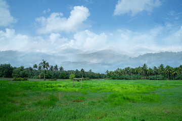 Green grass field under white clouds in a blue sky, Nature photography, Stripe of forest and mountains between a cloudy sky and green grass field.