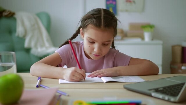 Online primary school education schoolgirl draws in copybook Spbd