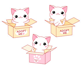 Set of kawaii little white cats in boxes. Animal care, adoption concept