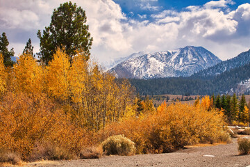 hiking at Mammoth California in the fall