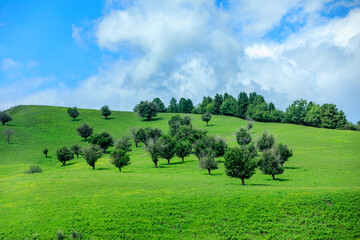 Nalati grassland with beautiful mountain natural landscape in Xinjiang,China.