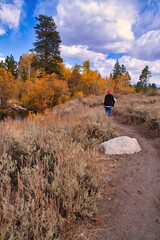 hiking at Mammoth California in the fall