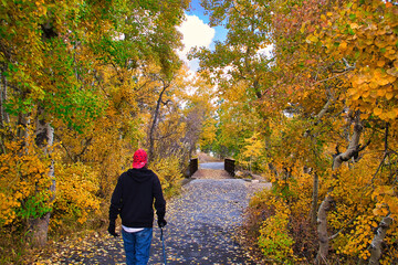 Fototapeta premium hiking at Mammoth California in the fall