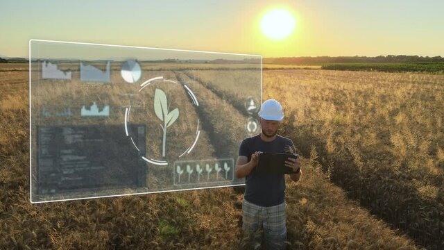 Smart precision farm industrial revolution concept, young engineer work on a tablet analysing the graphics statistics of Harvester production in a wheat grain field during sunset.
