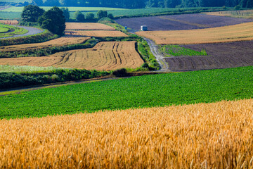 Biei, Hokkaido Japan