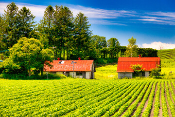 Biei, Hokkaido Japan