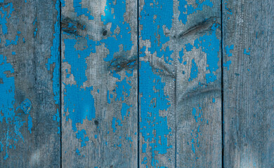 texture of old wooden boards covered in blue paint