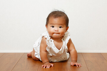 まだ０歳児の可愛い女の子。はいはいができるようになった可愛い赤ちゃんの画像です。