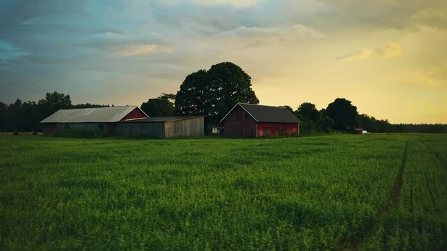 Rustic Farmhouses On Lush Meadows At Summer Sunset On Countryside Of Hjo In Sweden. - Aerial Drone Shot