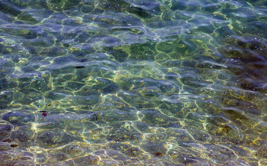 a close-up with the surface of the sea water
