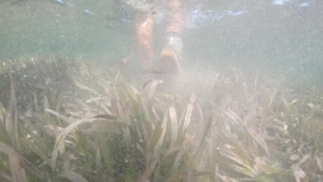 fly fishermen walk thalasa praderas